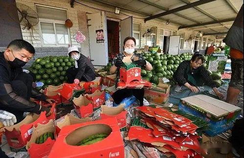 网红吃瓜群众图片大全,趣味横生的瞬间捕捉